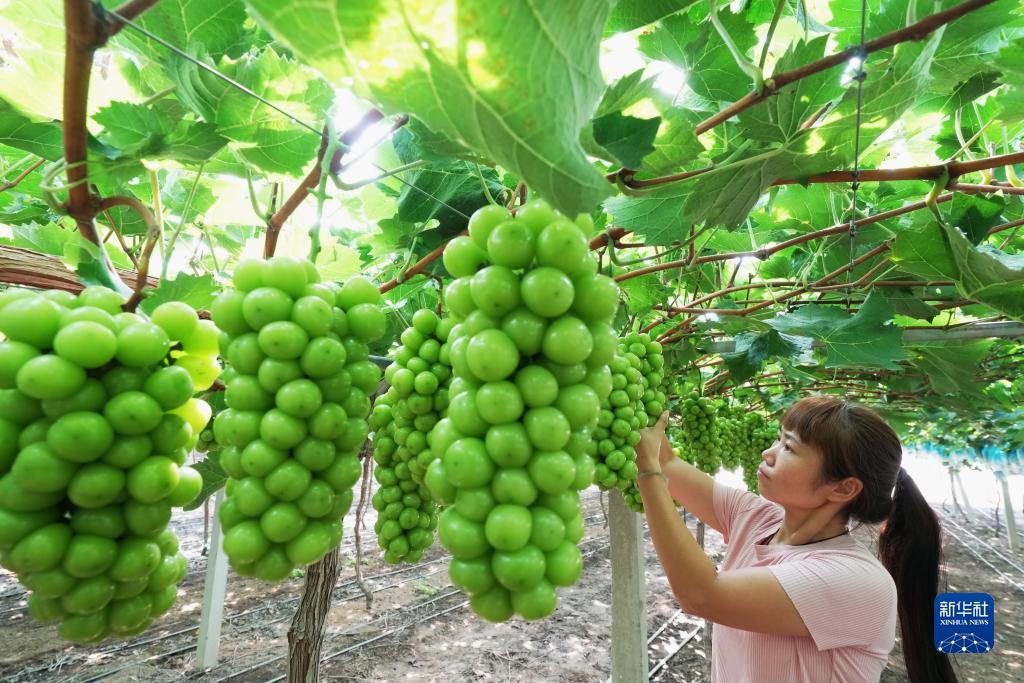 澳门葡京
